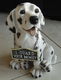 Beeldje van hond (Dalmatiër) met halsbordje (hoogte: 24 cm). - 5 - Thumbnail