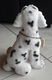 Beeldje van hond (Dalmatiër) met halsbordje (hoogte: 24 cm). - 6 - Thumbnail