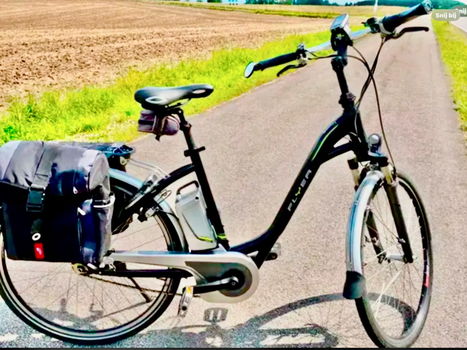 Partij Elektrische Flyer Fietsen plus Lage Instap Fiets Van Raam Balance - 1