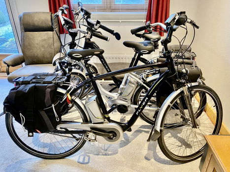 Partij Elektrische Flyer Fietsen plus Lage Instap Fiets Van Raam Balance - 5