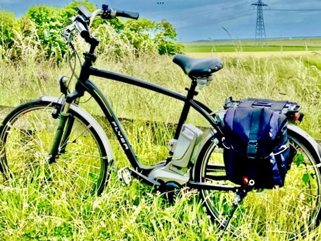 Partij Elektrische Flyer Fietsen plus Lage Instap Fiets Van Raam Balance - 7