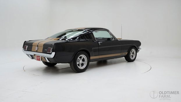 Ford Mustang Fastback '65 CH1573 - 1