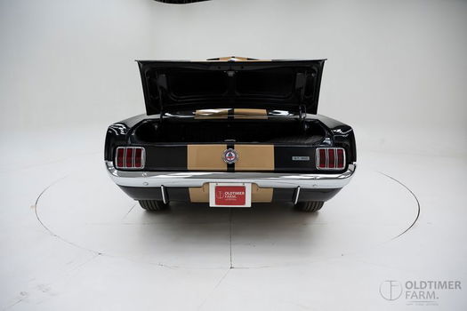 Ford Mustang Fastback '65 CH1573 - 6