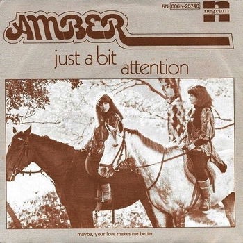 Amber (13) ‎– Just A Bit Attention - 0