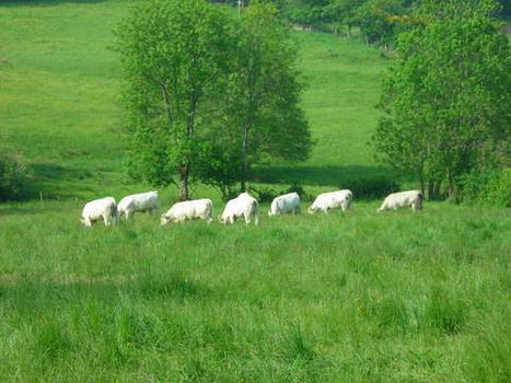 Romantische tussenstop op weg naar Spanje..... - 6