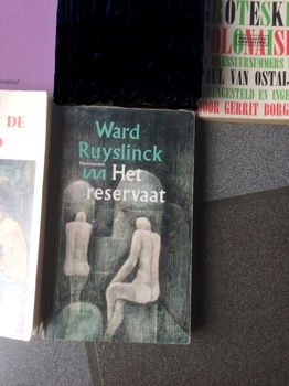 lot boeken allerlei - 1