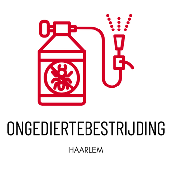 Ongediertebestrijding Haarlem - 0