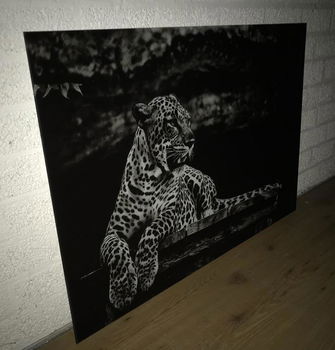 schilderij op glas , leeuw , luipaard , aanbieding - 5