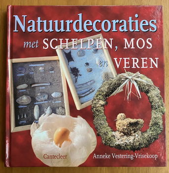 Natuurdecoraties met schelpen, mos en veren - 0