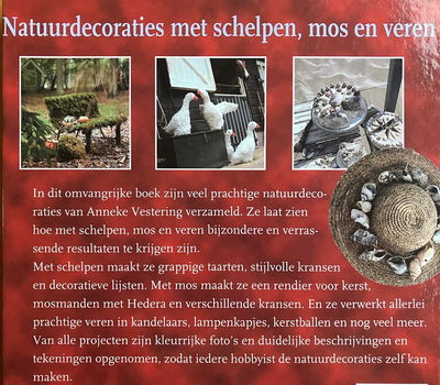 Natuurdecoraties met schelpen, mos en veren - 1