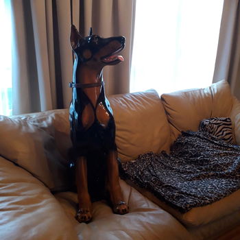 doberman - 1