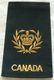 Rang / Rankslide, Non-Commissioned Members, Master Warrant Officer, Canadian Army, 1970s.(1) - 0 - Thumbnail