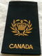 Rang / Rankslide, Non-Commissioned Members, Master Warrant Officer, Canadian Army, 1970s.(1) - 1 - Thumbnail