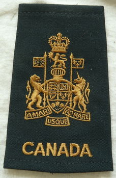 Rang / Rankslide, Non-Commissioned Members, Chief Warrant Officer, Canadian Army, 1970s.(1)