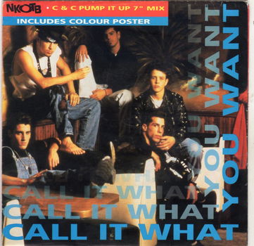 New Kids On The Block ‎– Call It What You Want (Postersleeve) - 0