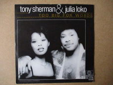 s4479 tony sherman / julia loko - too big for words