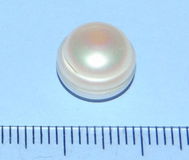 Witte Parel AABN - Australië - 10,3mm