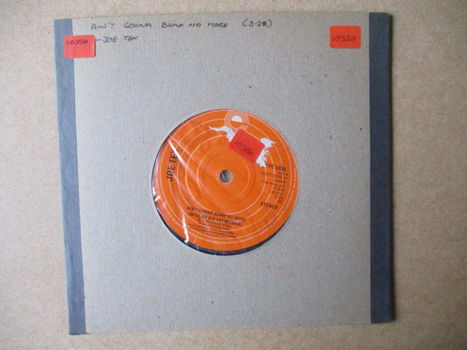 s4959 joe tex - aint gonna bump no more 2 - 0