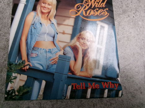 Wild Roses : Tell Me Why - 0