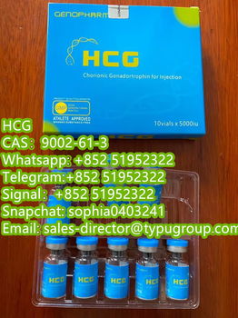 HCG CAS9002-61-3 Telegram:+852 51952322 Signal：+852 51952322 - 0