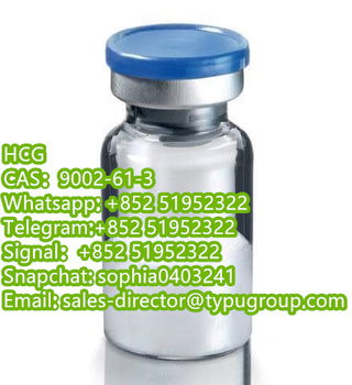 HCG CAS9002-61-3 Telegram:+852 51952322 Signal：+852 51952322 - 1