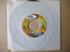 s5237 dionne warwick - this girl's in love with you