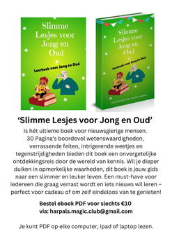 eBook 'Slimme Lesjes voor Jong en Oud' PDF - 2