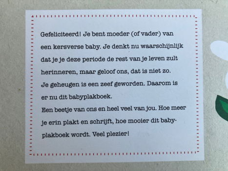 Babyplakboek (Het eerste jaar van) - 1