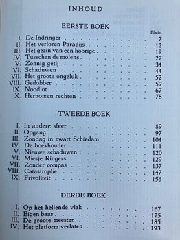 De brandende stad (Schiedam) - Daan van der Zee - 2