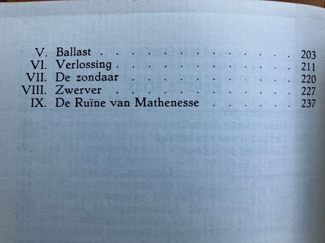 De brandende stad (Schiedam) - Daan van der Zee - 3