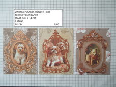 vintage plaatjes hond 839 - laatste set - eenmalig