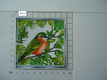 glanzende foto's Vogels - alle 8 voor 1,00 - 5 - Thumbnail