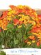 Aangeboden: Kunstbloemen,Hortensia,Chrysanten,Kunst bloemen - 1 - Thumbnail