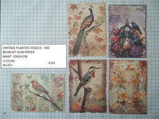 vintage plaatjes vogels 430 - laatste set - eenmalig