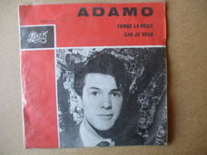 s5588 adamo - tombe la neige