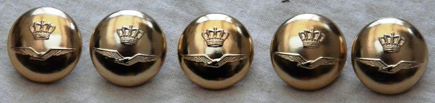 Knopen Lotje, Uniform, DT, Koninklijke Luchtmacht, 22mm, 5 stuks.(Nr.3) - 1