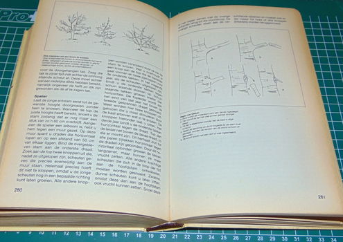 Het Tuinklussenboek - Paul Krijnen - 3