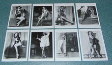 8 Marilyn Monroe kaarten - set F