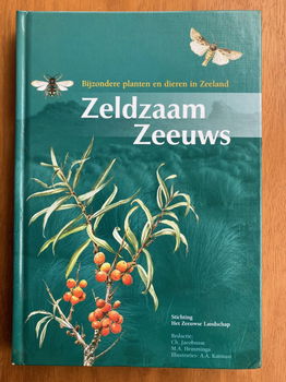 Zeldzaam Zeeuws - Jacobusse - 0