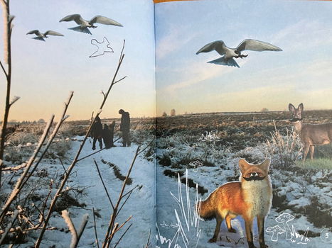 Op stap in herfst en winter - Annemarieke Piers - 2