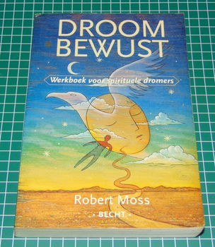 Droom bewust - Robert Moss - 0