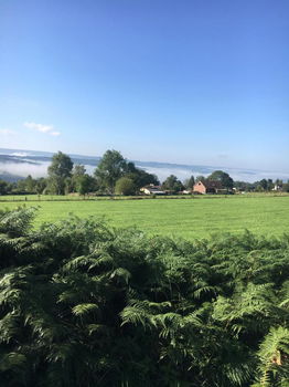 Honden mee op vakantie in 2 pers Petit Gite gelegen Ardennen - 1