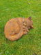 opgerolde poes , tuinbeeld poes , kat - 2 - Thumbnail