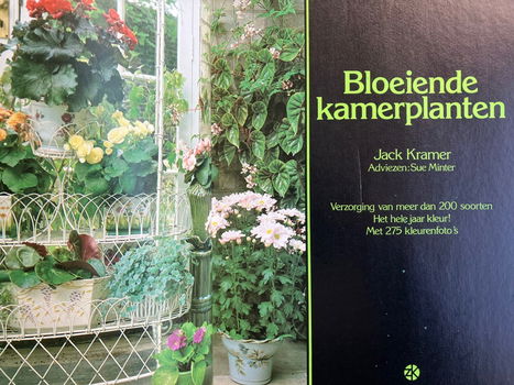 Bloeiende kamerplanten - Jack Kramer - 1