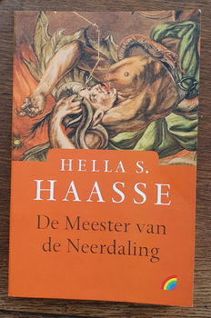 Hella S. Haasse - De meester van de Neerdaling - 0