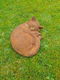 opgerolde poes , tuinbeeld poes , kat - 5 - Thumbnail