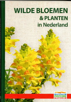 Wilde bloemen en planten in Nederland - 0