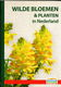 Wilde bloemen en planten in Nederland - 0 - Thumbnail