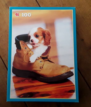 Jumbo puzzel - puppy in schoen (Cavalier King Charles Spaniel) - 0