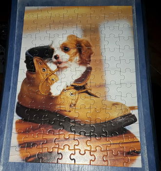 Jumbo puzzel - puppy in schoen (Cavalier King Charles Spaniel) - 2